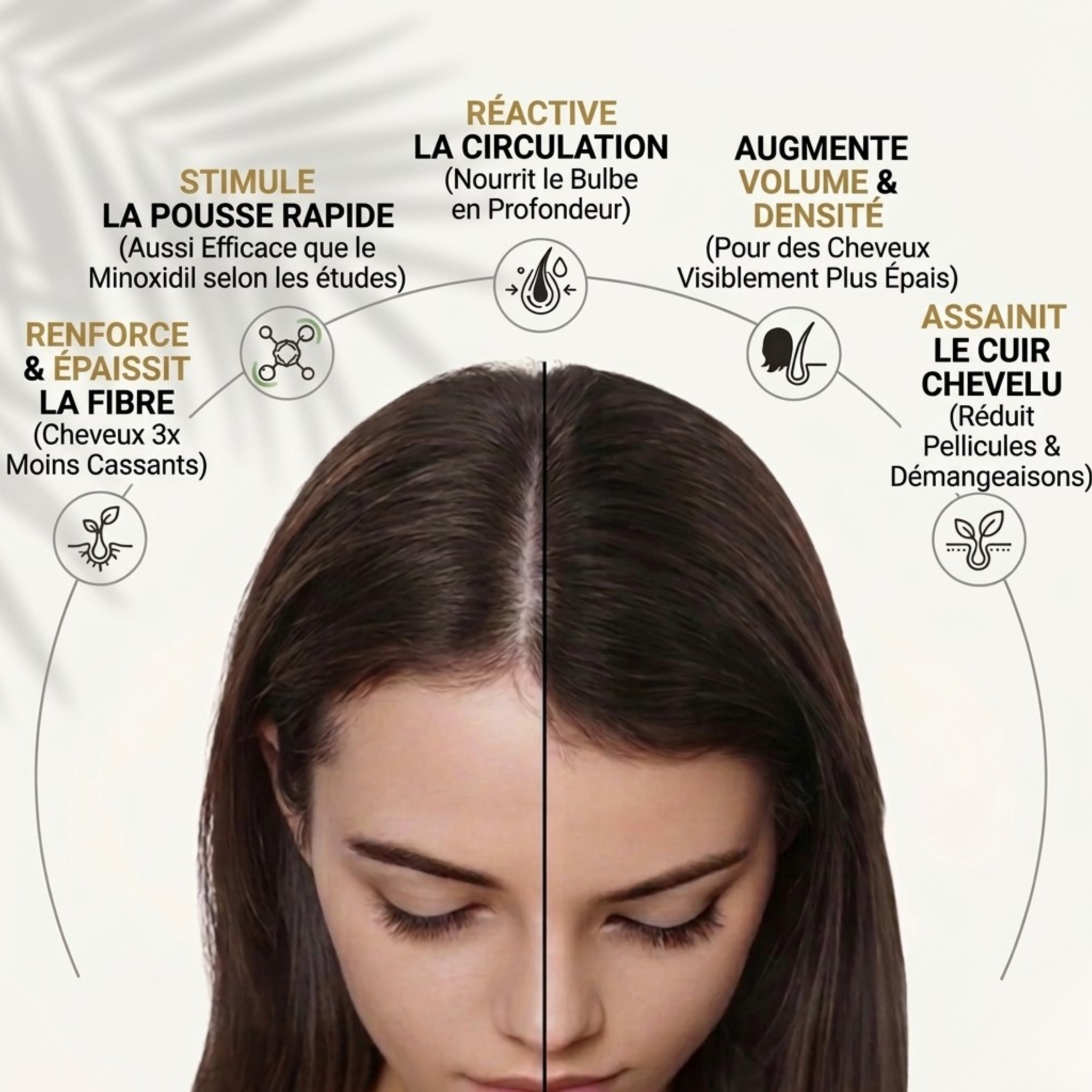 L'Élixir Méditerranéen