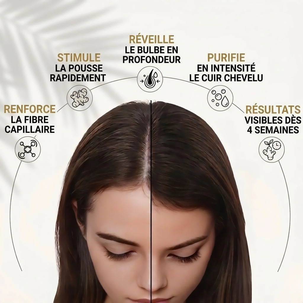 L'Energie Pure