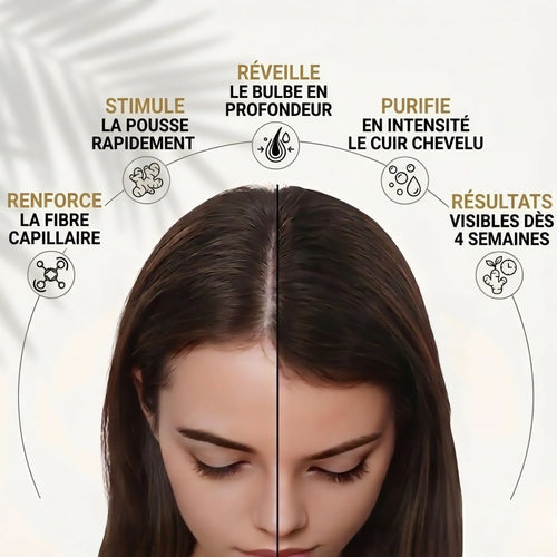 L'Energie Pure